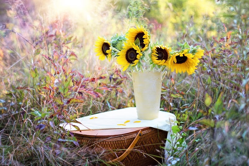 Whimsical Plant Arrangements