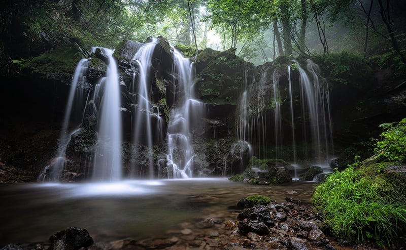 Waterfall in a lush forest