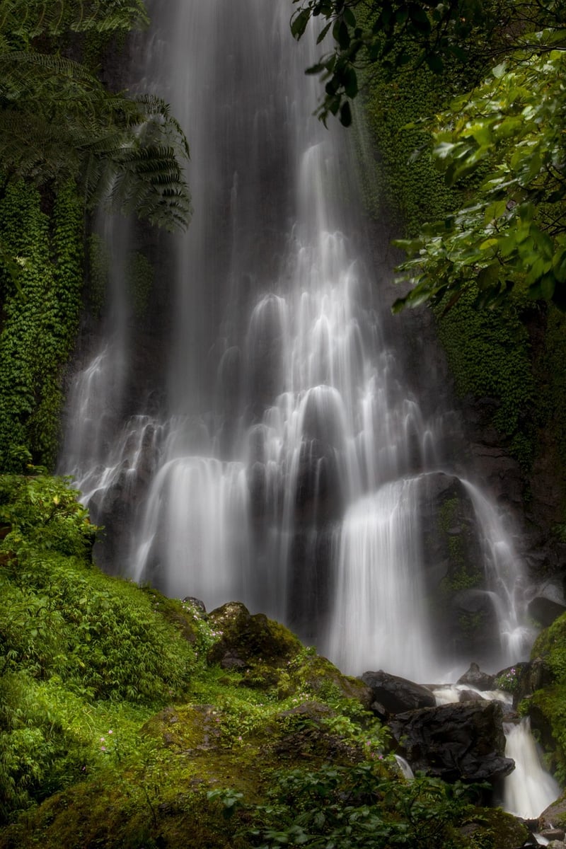 Waterfall in a natural setting